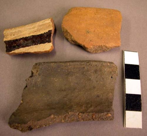 Sherds