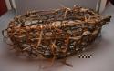 Chicken crate of branches and leaves.  Chitetere
