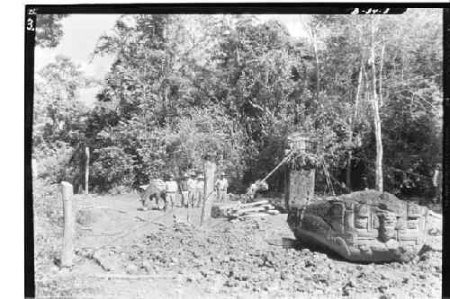 Stela A West of South, zoomorph in foreground, tackle lines and guy wires in pos