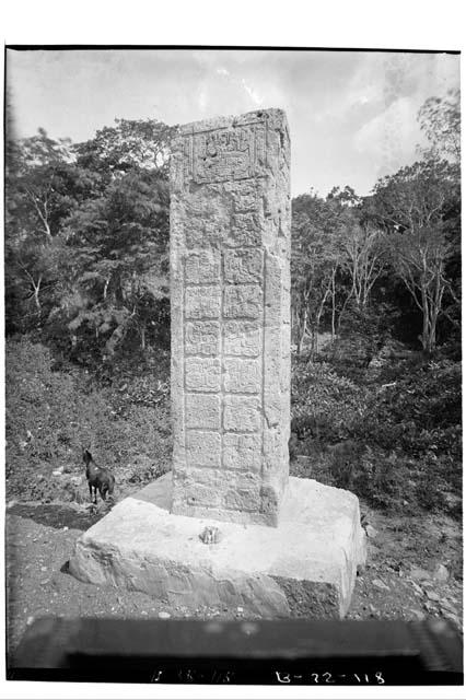 Stela 2 after reparation