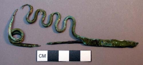 Fibula, serpentine