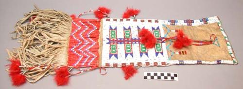 Skin pipe bag, white bead work background--design of red, blue and green beads.