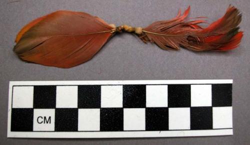 Ornament, 4 feathers bound w/ cotton string, 2 trimmed, 2 matted/damaged