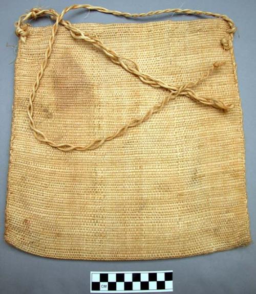 Bag, woven vegetable fiber, rectangular, braided/twisted fiber cord strap, stain