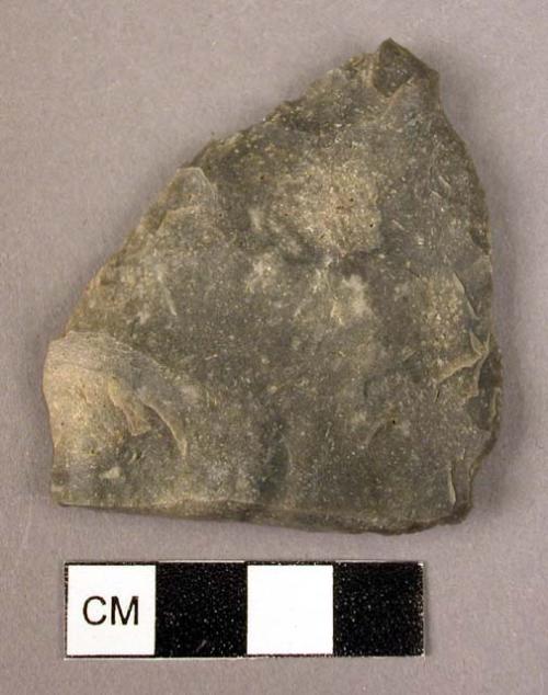 Fragments of spear points?