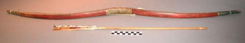 Bow and arrow. Red painted bow with sinew. Feathered arrow, no tip.