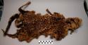 Tree civet (genetta aubry) skin cap, nsimba