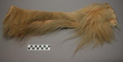 Lion mane shoulder cover, part of medicine man's costume