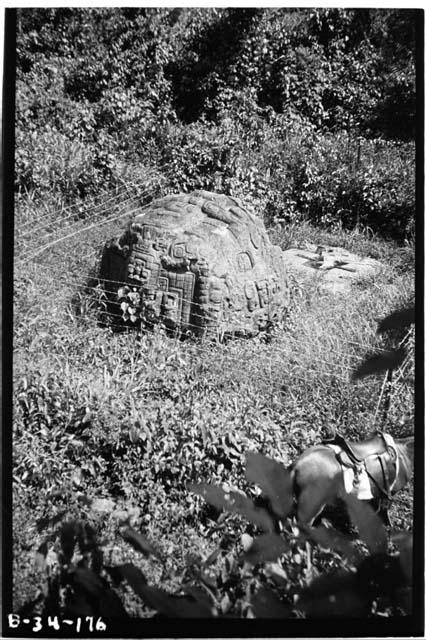 Altar to Zoomorph P, with the altar in the background, 1935