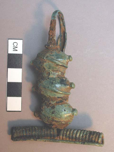 Fibula, nut