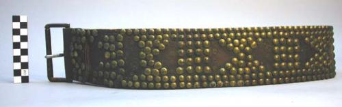 Heavy leather belt with brass studs