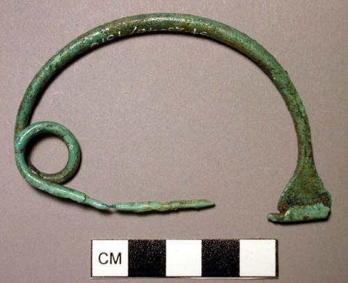 Fibula, arc