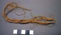 Sinew bundle