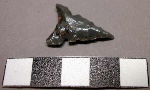 Chipped stone, arrow point, black, side notched