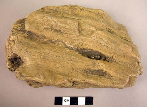 Single-ended hand adze of fossil wood