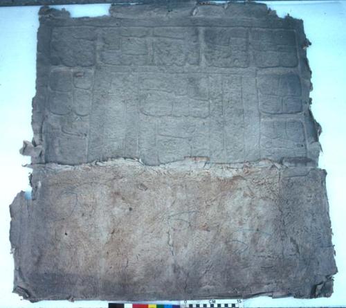 Paper mould of stone sculpture from Las Monjas, Chichen Itza