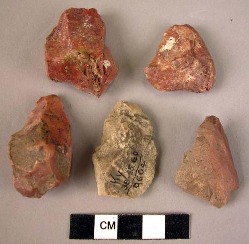 5 trimming flakes of silicified tuff