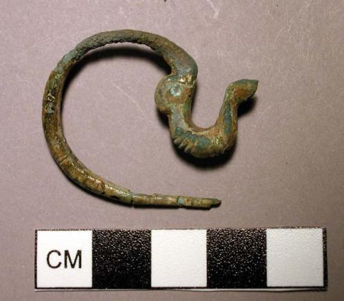 Fibula, dragon