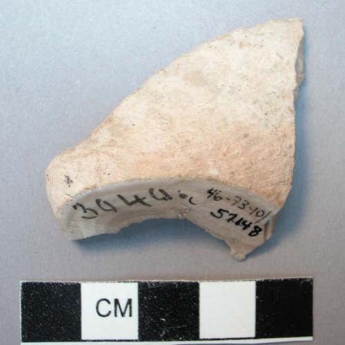 Fragment of glycymeris? shell with perforation in umbo.