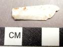 Fragment of shell. 2.6 x .7 cm.