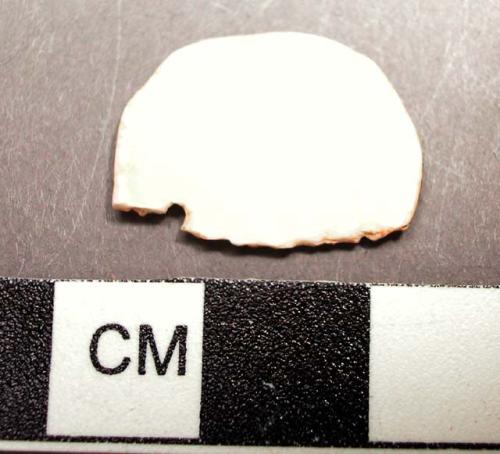 Piece of carved cardium shell. diameter: 2 cm.