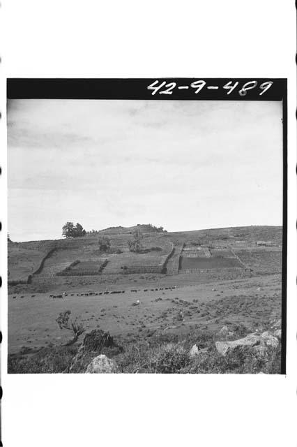 Sheep ranch at 10,000 ft. elevation on Pan-American Road between Totonicapan and