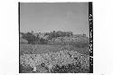 360 degree broken panorama of La Sabana and surrounding country; From Mound 2