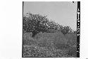 360 degree broken panorama of La Sabana and surrounding country; From Mound 2