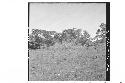 Mounds 2-5 from top of Mound 7 looking north. B is due north