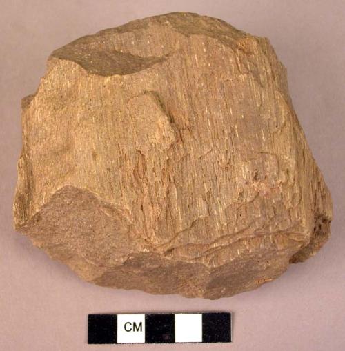 Double-ended hand adze of fossil wood