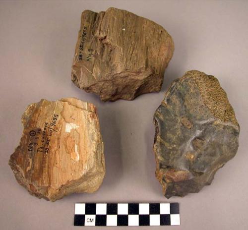 3 large single-ended hand adzes of fossil wood