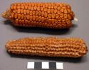 Corn cobs