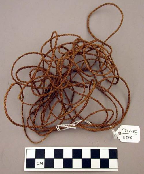 Large twine snares