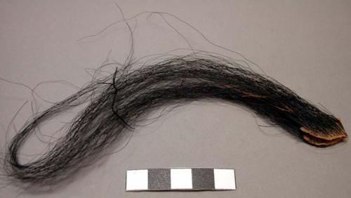 Raw material, hair, horse, black