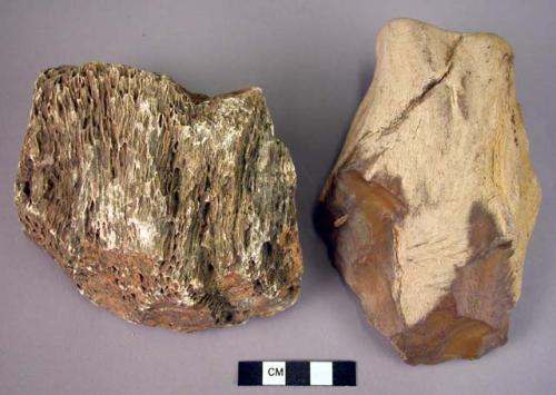 2 large single-ended hand adze of fossil wood