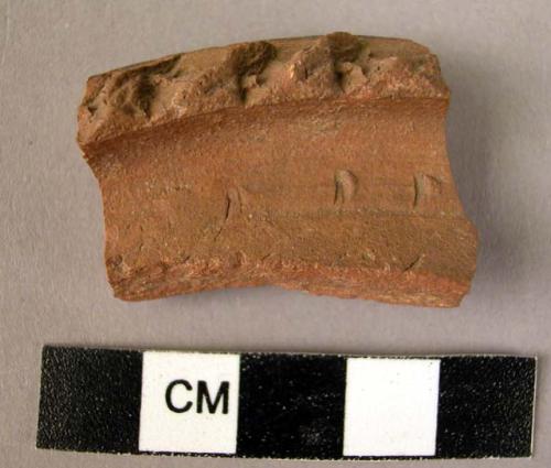 Rim potsherd - red painted and relief (no type)