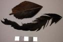 Feathers, brown