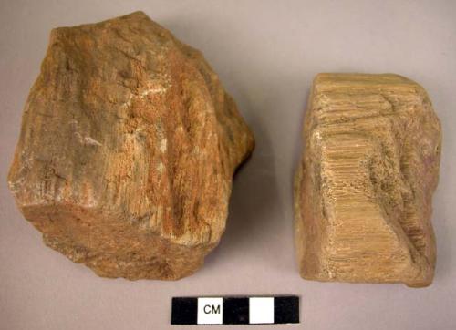 2 steep-ended hand adzes of fossil wood