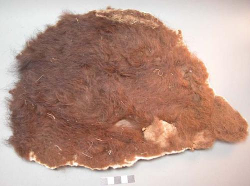 Pieces of buffalo hide (one with hair?)