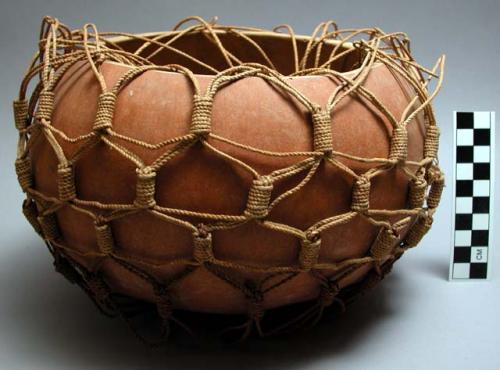 Bowl and netting