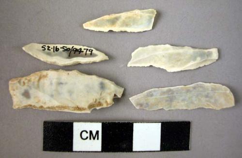 15 flint fragments of backed bladelets