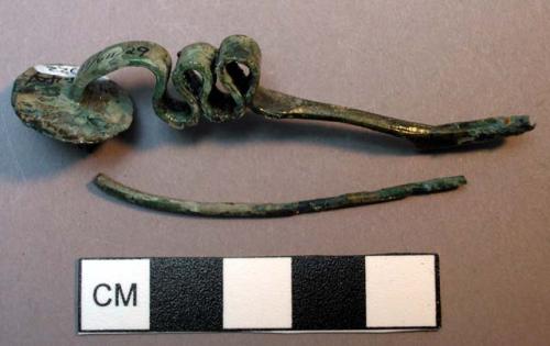 Fibula, serpentine