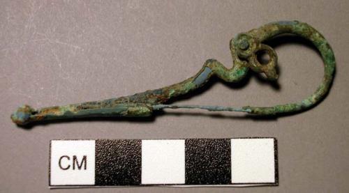 Fibula, dragon