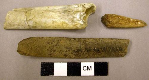 Fragments of worked bone