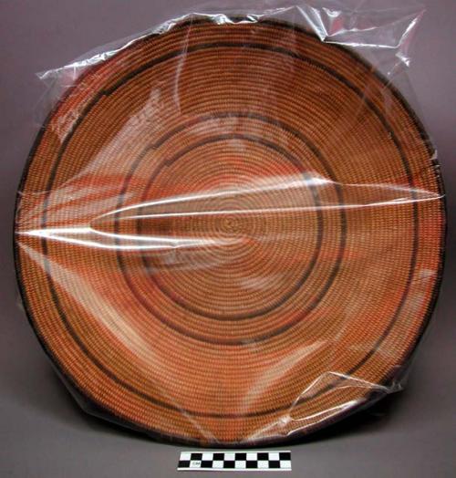 Coiled winnowing tray for mesquite