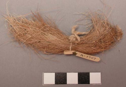 Bundle of deer hair tied with string