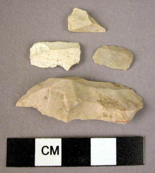 7 Tardenoisian flints