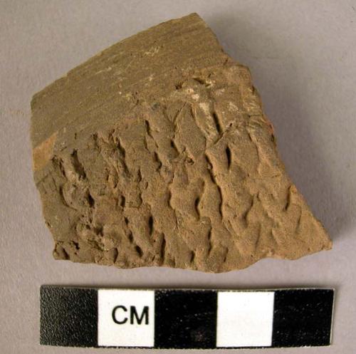 Rim potsherd - molded