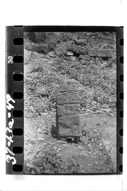 Side of stela found in debris of south-west corner of East Court