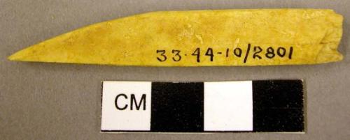 Fragments of bone tool